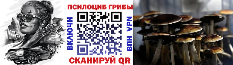 Купить где  Ленинградская  Псилоцибиновые грибы MAGIC MUSHROOMS 